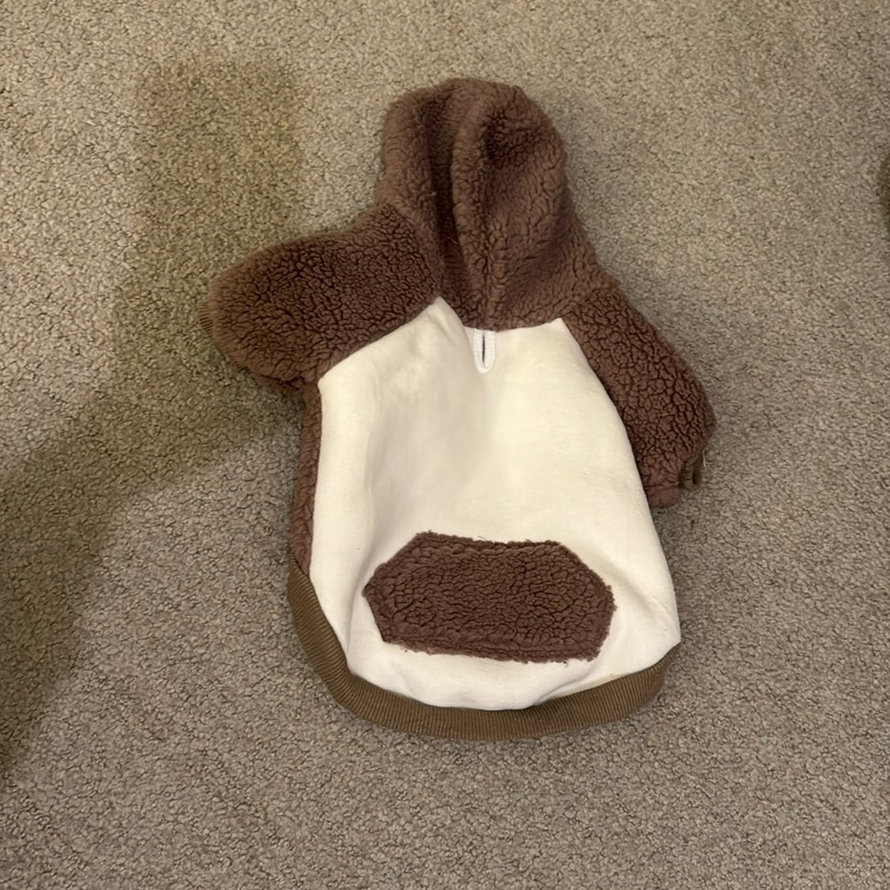 Dog hoodie.
